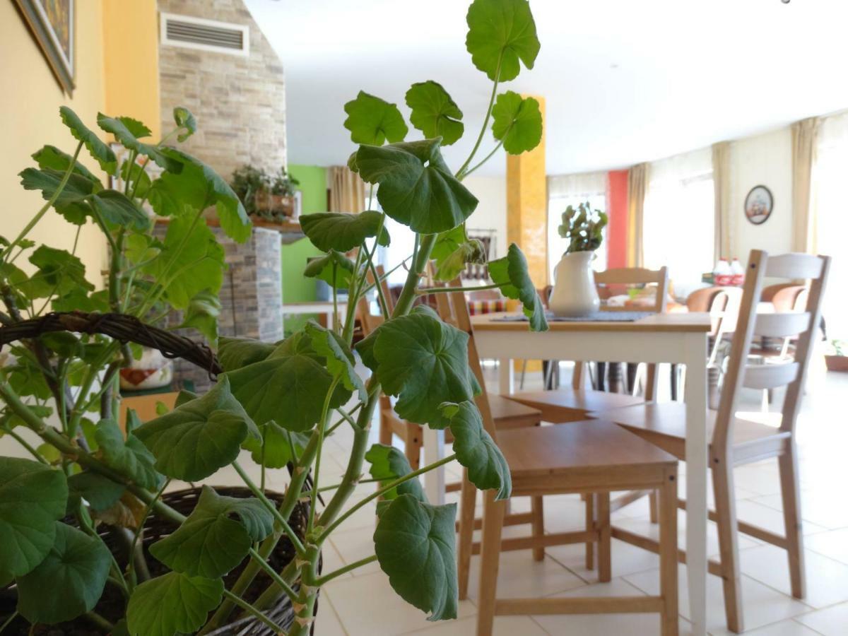 Guest House Misha Petrevene ภายนอก รูปภาพ